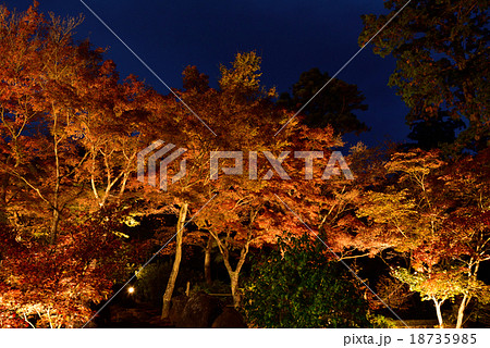 紅葉 ライトアップ 筑波山 つくばの写真素材