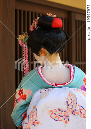 舞妓 京都 首筋 後ろ姿の写真素材