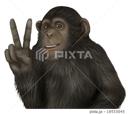 チンパンジー モンキー 猿 申年のイラスト素材