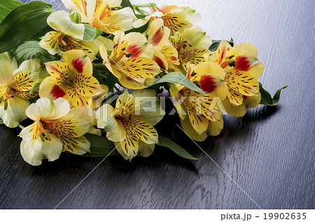 花 アルストメリア 花束 切り花の写真素材