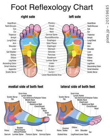 リフレクソロジー イラスト 足裏 反射のイラスト素材