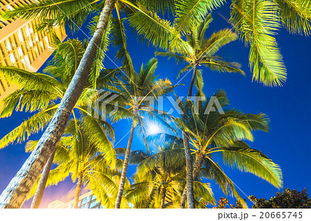 ハワイ 満月 ホノルル ライトアップの写真素材