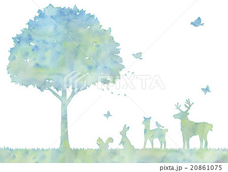 イラスト 動物 森林 メルヘン かわいいの写真素材