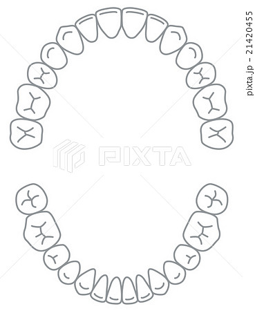 歯列のイラスト素材