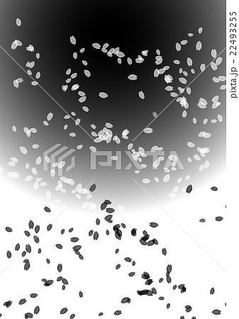 モノクロ 白黒 桜 吹雪のイラスト素材