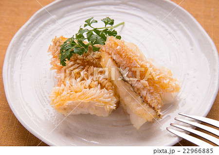 鯛のソテーの写真素材