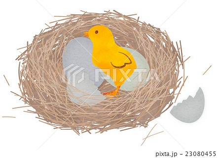 鳥 巣 野鳥 木の枝のイラスト素材