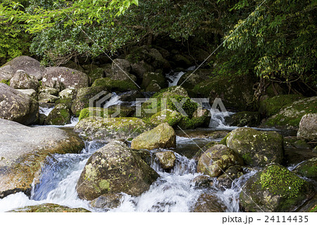 永田川 横河渓谷 川 渓谷の写真素材