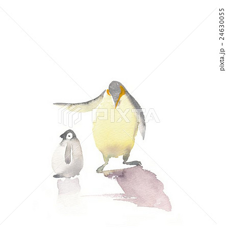 ペンギン 親子 水彩画 皇帝ペンギンのイラスト素材