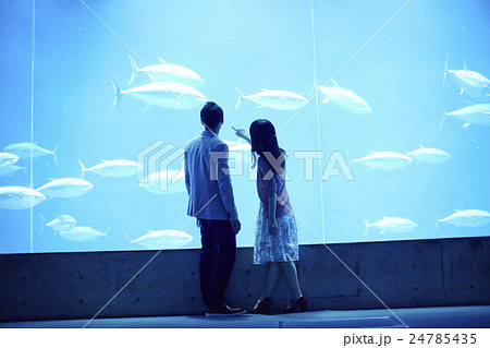 カップル 後ろ姿 水族館 水族館デートの写真素材