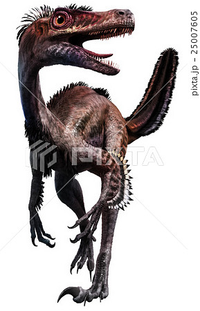 羽毛恐竜のイラスト素材