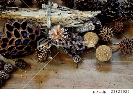 ハロウィーン まつぼっくり インテリア 松ぼっくりの写真素材