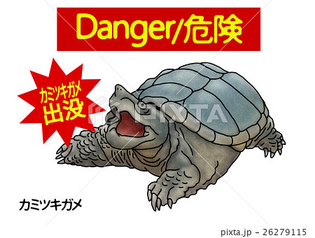 特定外来生物のイラスト素材