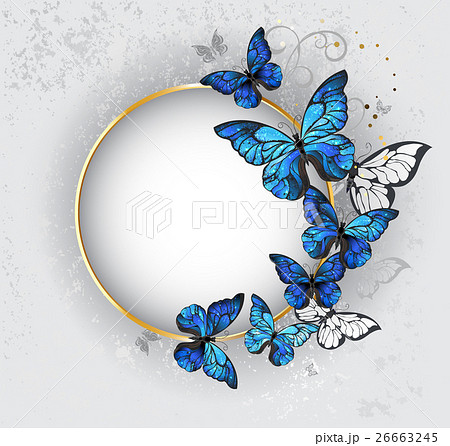 最高の綺麗 蝶 の イラスト アニメ画像