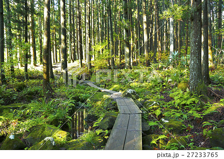 胴腹滝 鳥海山 胴腹の滝の写真素材