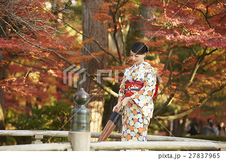 紅葉 に 映える 着物 安い