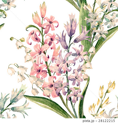 咲く ヒヤシンス 水彩 花のイラスト素材