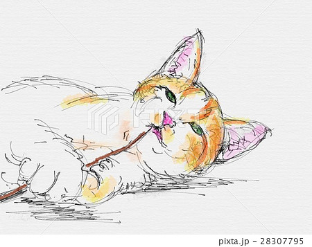 猫 イラスト スケッチ ペン画のイラスト素材