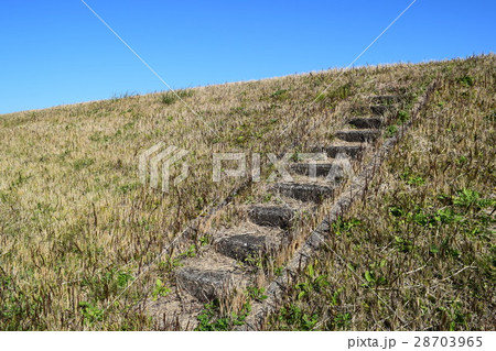 階段 雑草 土手 河川敷の写真素材