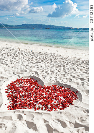 海 花びら ハート 砂浜 形の写真素材 Pixta