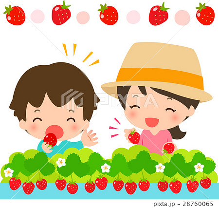 苺狩りのイラスト素材