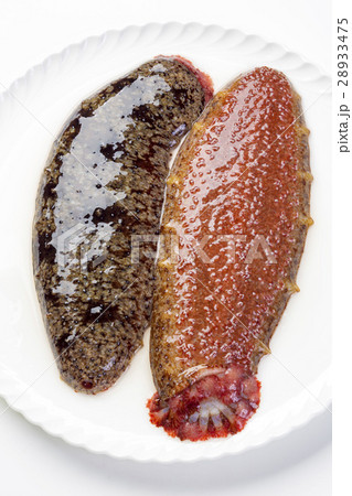 赤なまこの写真素材