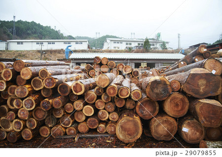 木材加工の写真素材