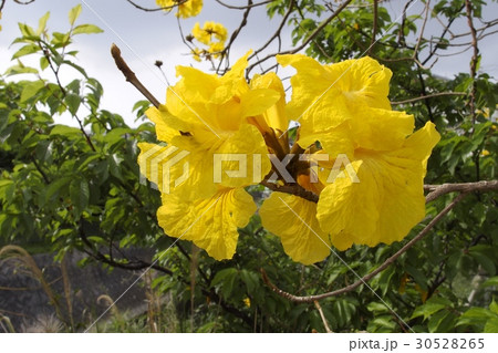 いっぺいの写真素材 いっぺいの写真素材