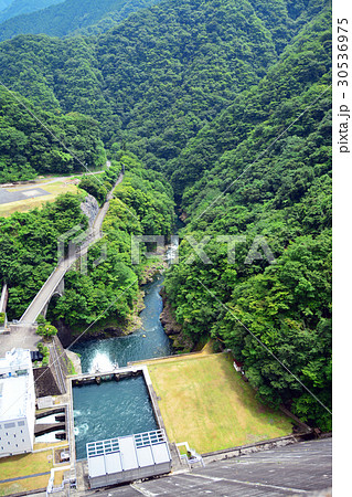 東京都水道水源林の写真素材