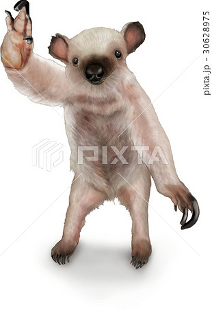 アリクイのイラスト素材