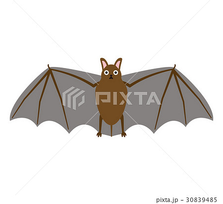 蝙蝠羽のイラスト素材