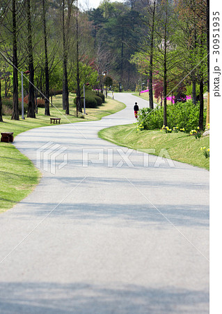 春 きれい 綺麗 道の写真素材