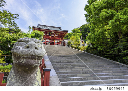 鶴岡八幡宮 階段の写真素材