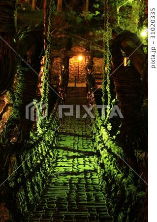 かずら橋 祖谷のかずら橋 ライトアップ 夜の写真素材