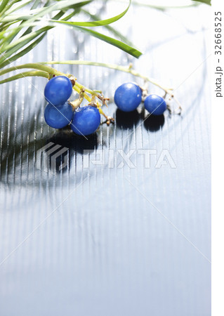 龍の髭の実の写真素材