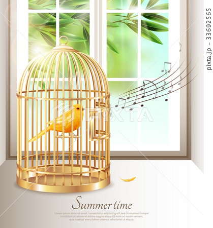 カナリアのイラスト素材