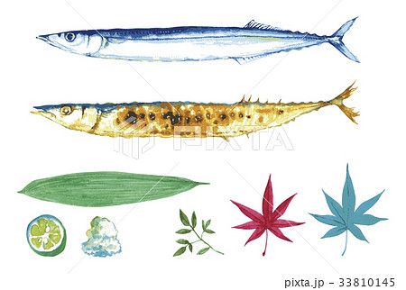 焼きさんまのイラスト素材