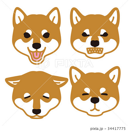柴犬 犬 怒る 顔のイラスト素材