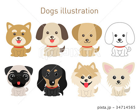 犬 ベクター セット おすわりのイラスト素材