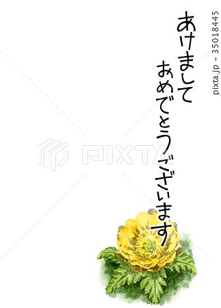 福寿草のイラスト素材 福寿草のイラスト素材