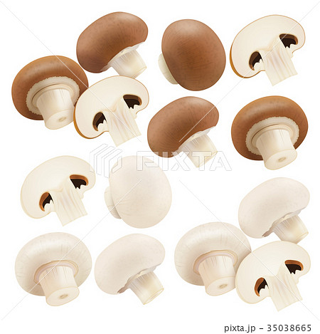 Cg マッシュルーム きのこ 西洋きのこのイラスト素材
