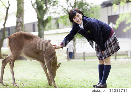 女子高生 高校生 鹿 シカの写真素材 Pixta