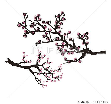 デザイン 水墨画 ベクター 植物のイラスト素材