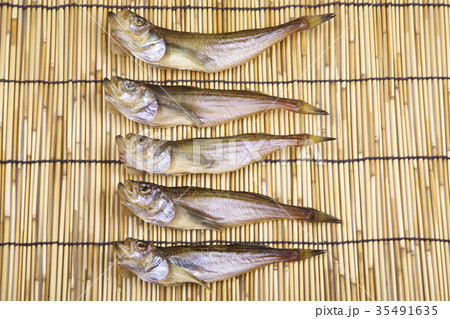 ハタハタ 白ハタ 鰰 干物の写真素材