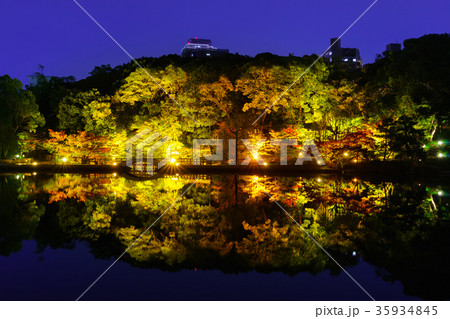 徳川園 紅葉 ライトアップ 水鏡の写真素材