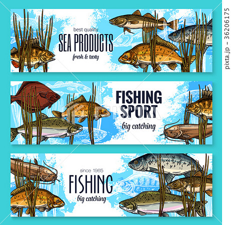 シーバス釣りのイラスト素材