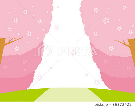 桜 桜並木 並木道 背景のイラスト素材