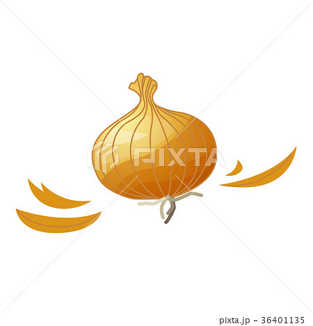 タマネギの皮のイラスト素材