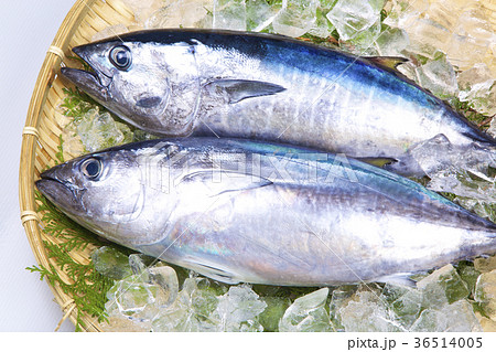 横輪の写真素材