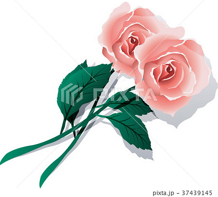 アイコン イラスト バラ バラの花のイラスト素材